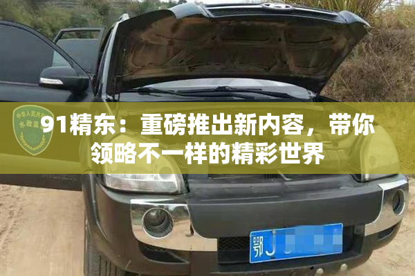 91精东：重磅推出新内容，带你领略不一样的精彩世界