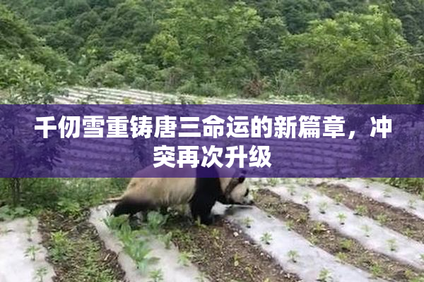 千仞雪重铸唐三命运的新篇章，冲突再次升级