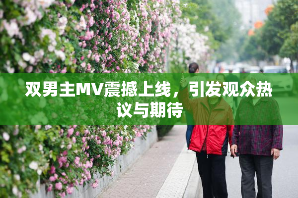 双男主MV震撼上线，引发观众热议与期待