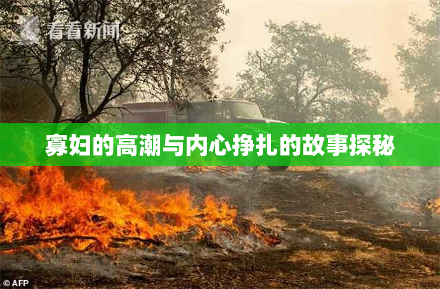 寡妇的高潮与内心挣扎的故事探秘