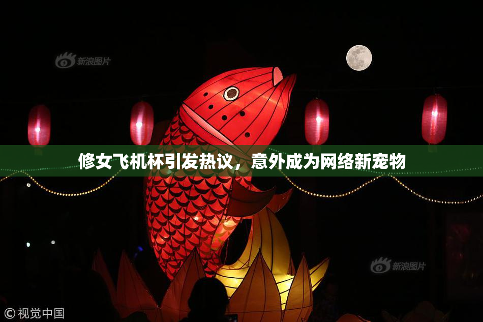 修女飞机杯引发热议，意外成为网络新宠物