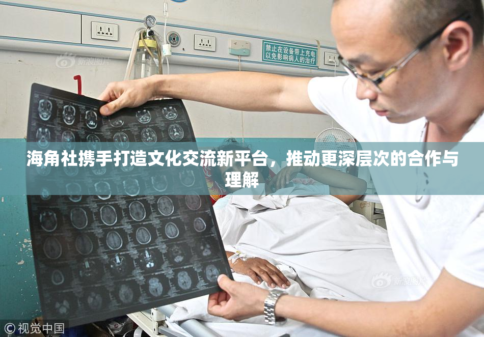 海角社携手打造文化交流新平台，推动更深层次的合作与理解