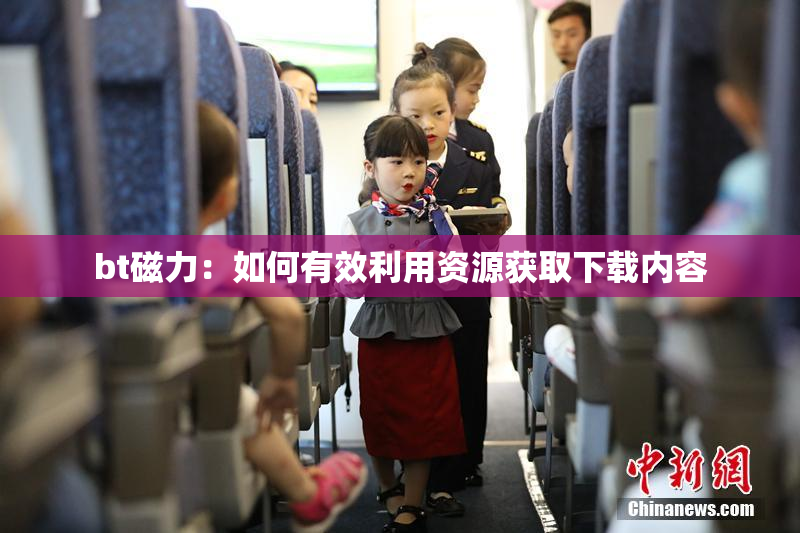 bt磁力：如何有效利用资源获取下载内容