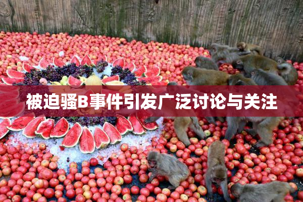 被迫骚B事件引发广泛讨论与关注