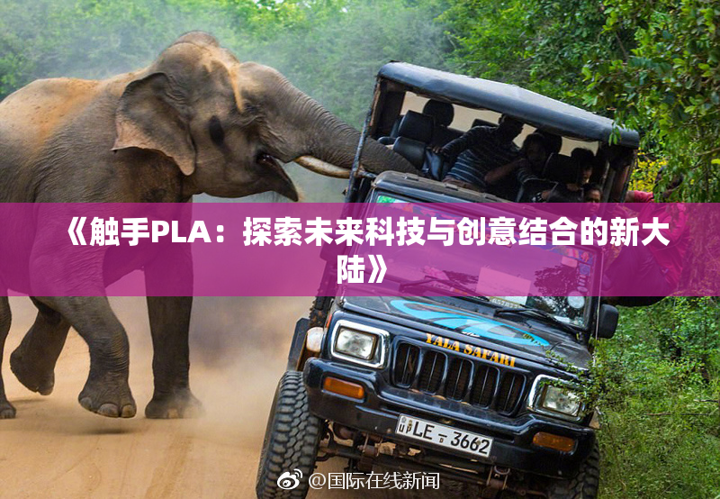 《触手PLA：探索未来科技与创意结合的新大陆》