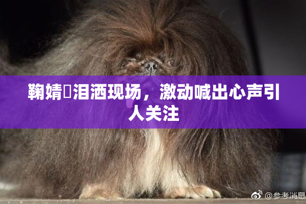 鞠婧祎泪洒现场，激动喊出心声引人关注
