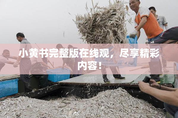 小黄书完整版在线观，尽享精彩内容！