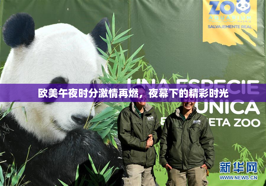 欧美午夜时分激情再燃，夜幕下的精彩时光