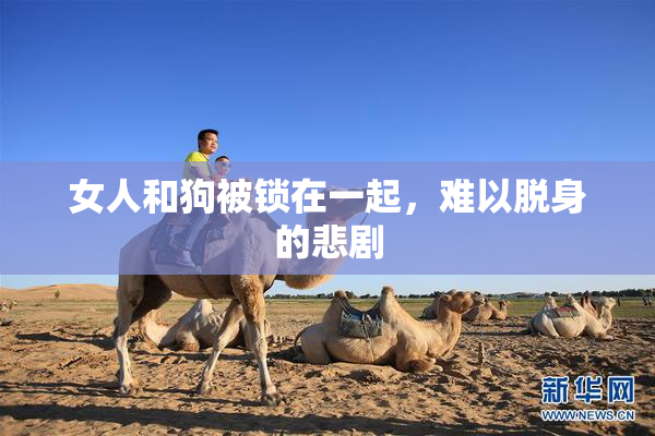 女人和狗被锁在一起，难以脱身的悲剧