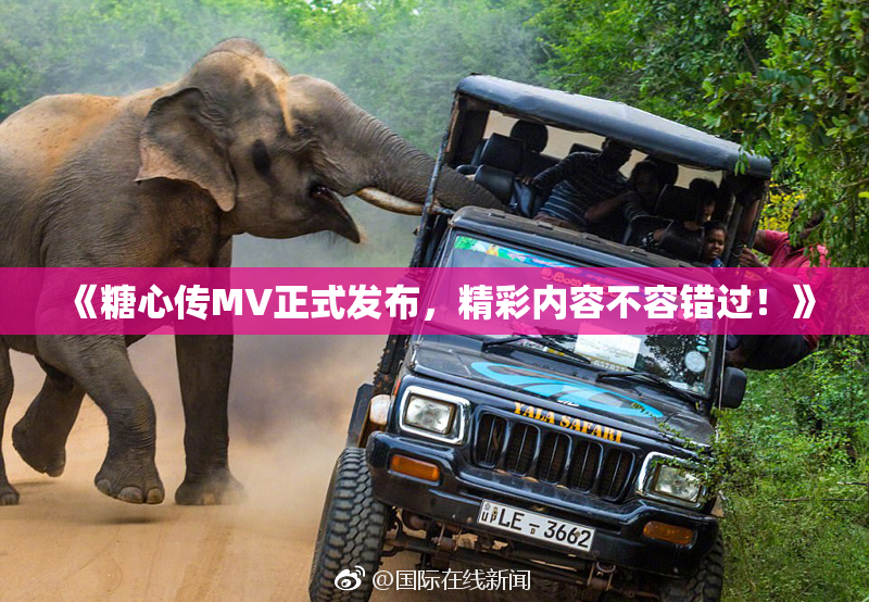 《糖心传MV正式发布，精彩内容不容错过！》