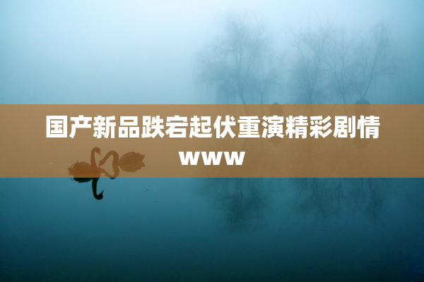 国产新品跌宕起伏重演精彩剧情www
