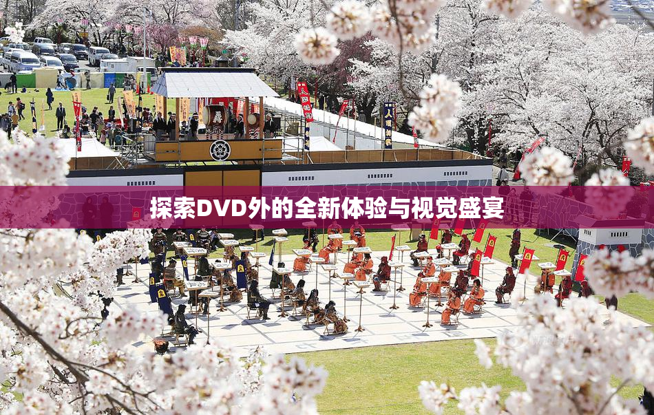 探索DVD外的全新体验与视觉盛宴