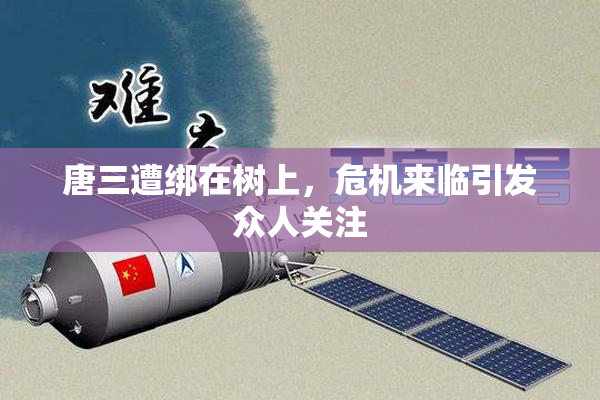 唐三遭绑在树上，危机来临引发众人关注