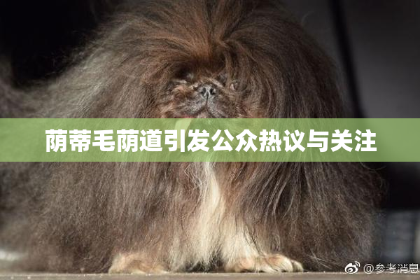 荫蒂毛荫道引发公众热议与关注