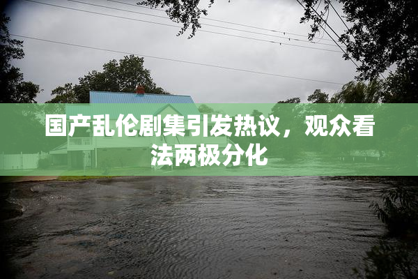 国产乱伦剧集引发热议，观众看法两极分化