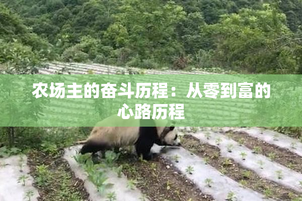 农场主的奋斗历程：从零到富的心路历程