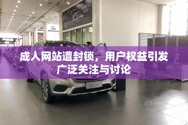 成人网站遭封锁，用户权益引发广泛关注与讨论