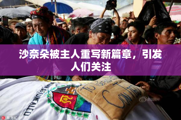 沙奈朵被主人重写新篇章，引发人们关注