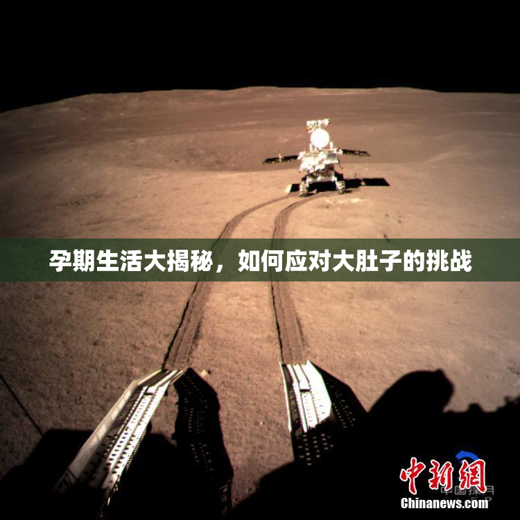 孕期生活大揭秘，如何应对大肚子的挑战
