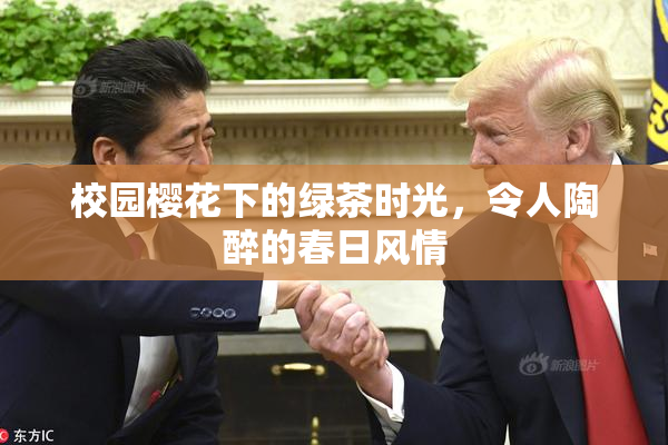 校园樱花下的绿茶时光，令人陶醉的春日风情