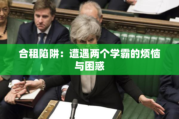 合租陷阱：遭遇两个学霸的烦恼与困惑