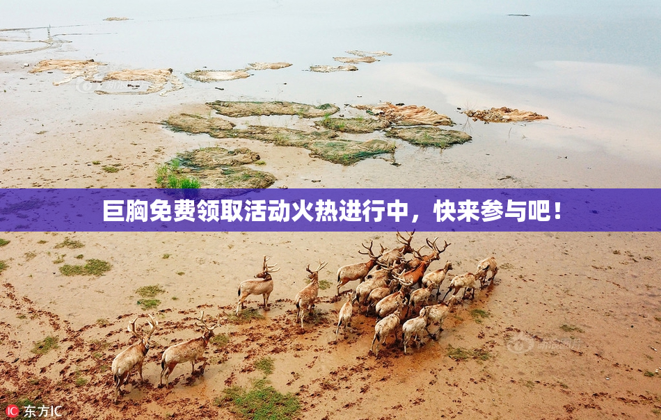 巨胸免费领取活动火热进行中，快来参与吧！