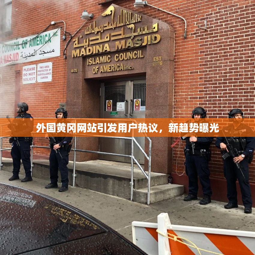 外国黄冈网站引发用户热议，新趋势曝光