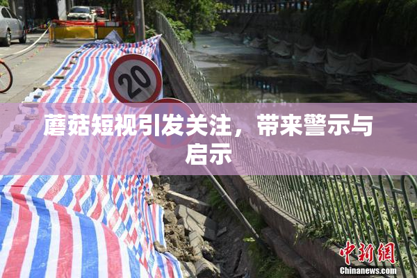 蘑菇短视引发关注，带来警示与启示
