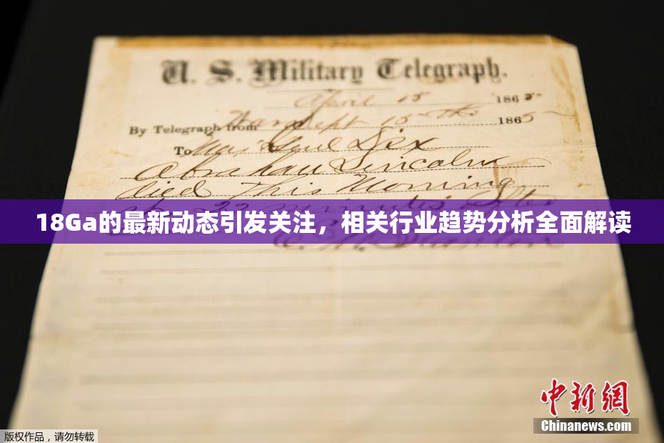 18Ga的最新动态引发关注，相关行业趋势分析全面解读