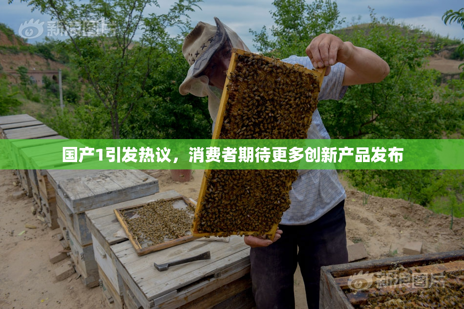 国产1引发热议，消费者期待更多创新产品发布