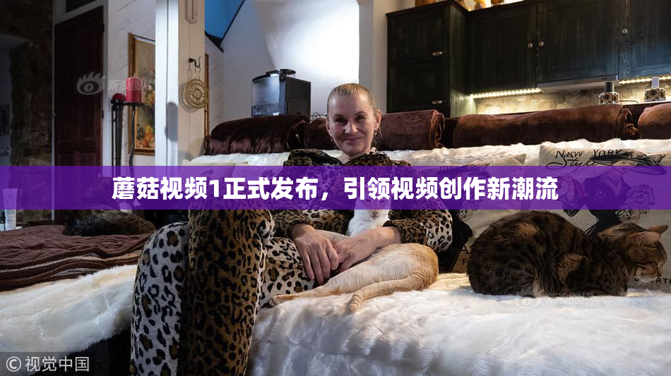 蘑菇视频1正式发布，引领视频创作新潮流
