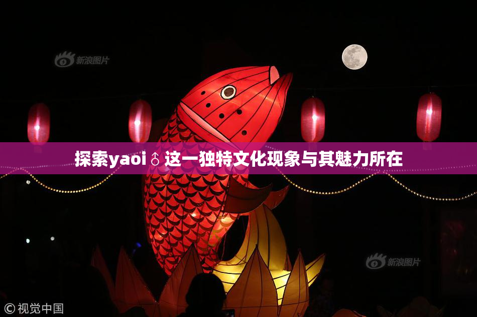 探索yaoi♂这一独特文化现象与其魅力所在