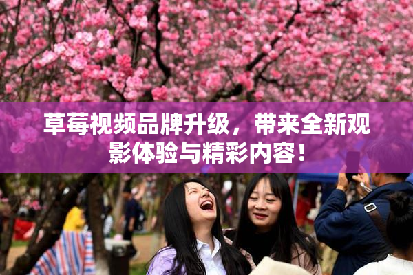草莓视频品牌升级，带来全新观影体验与精彩内容！