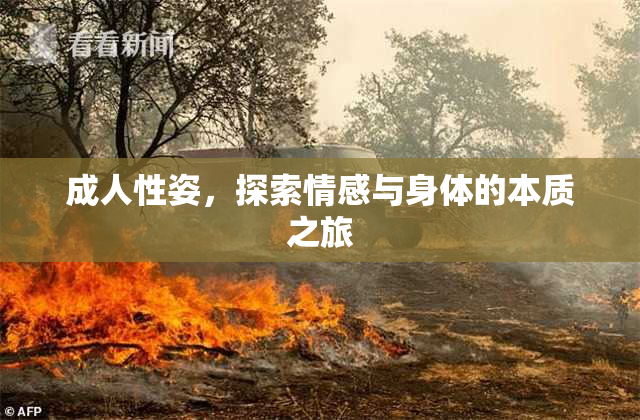 成人性姿，探索情感与身体的本质之旅