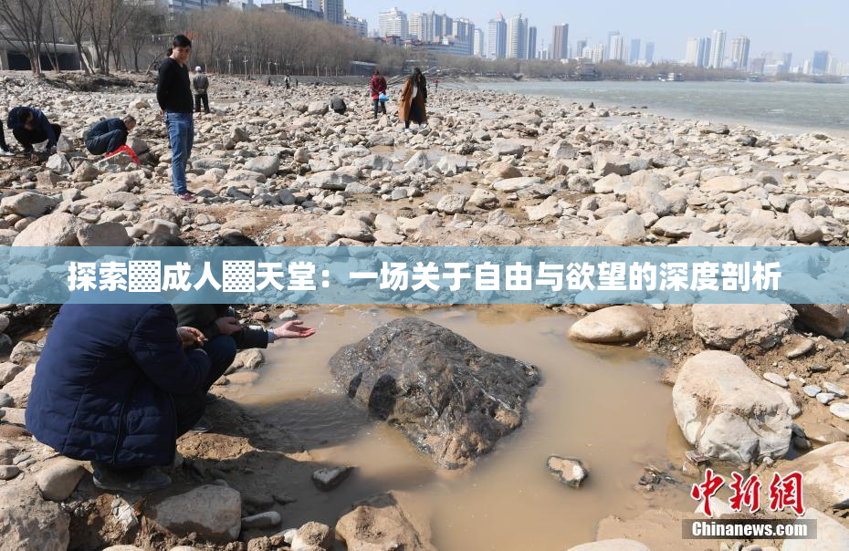 探索▓成人▓天堂：一场关于自由与欲望的深度剖析