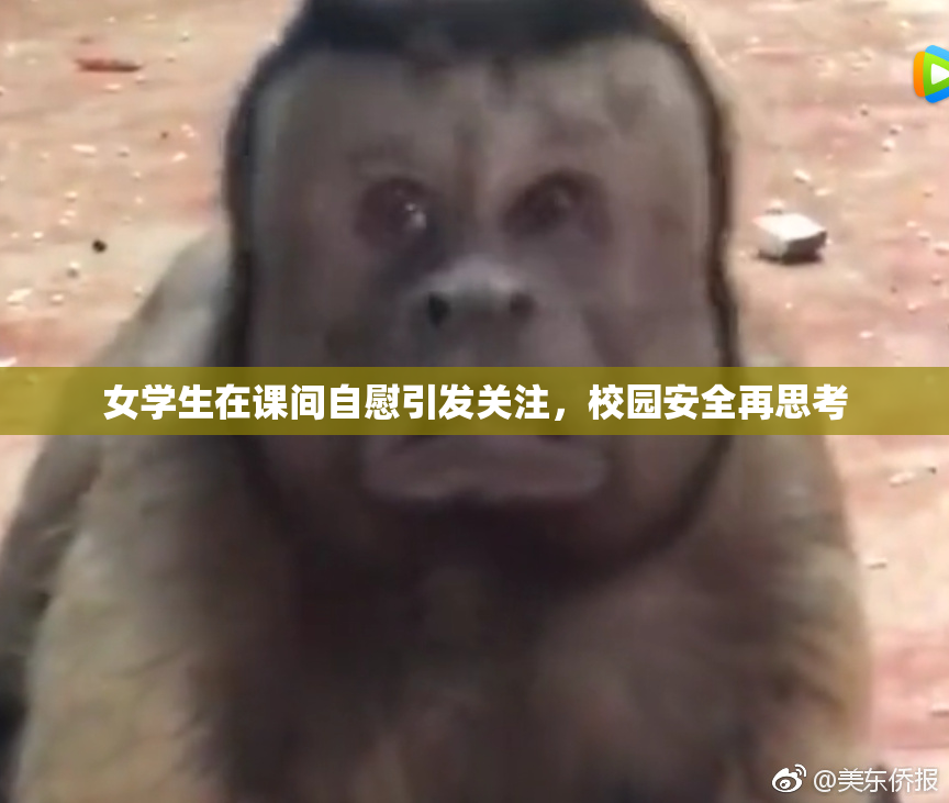 女学生在课间自慰引发关注，校园安全再思考