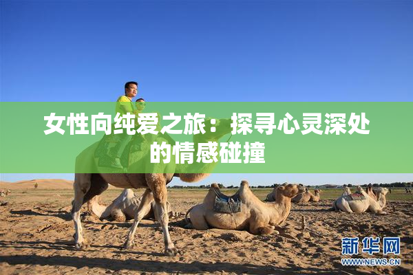 女性向纯爱之旅：探寻心灵深处的情感碰撞