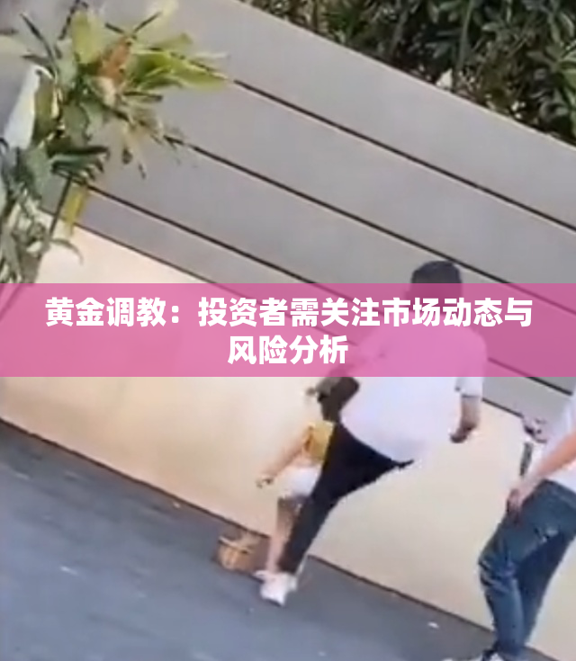 黄金调教：投资者需关注市场动态与风险分析
