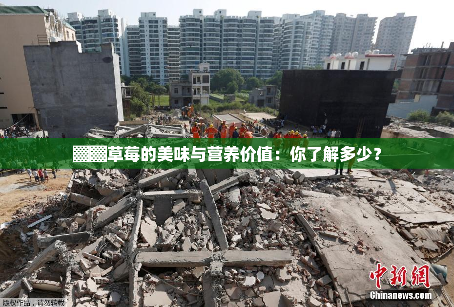 ▓▓草莓的美味与营养价值：你了解多少？