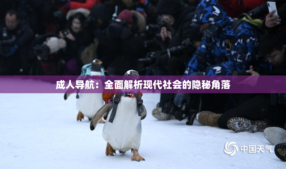 成人导航：全面解析现代社会的隐秘角落