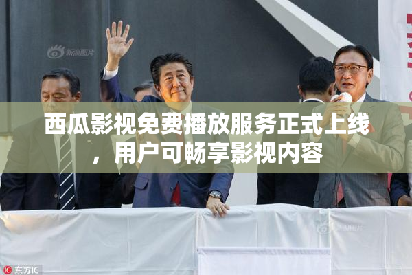 西瓜影视免费播放服务正式上线，用户可畅享影视内容