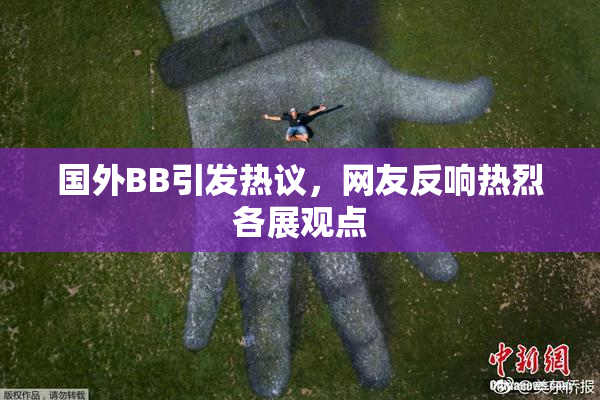国外BB引发热议，网友反响热烈各展观点