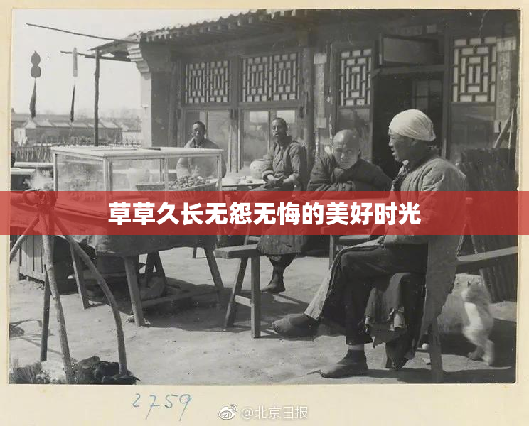草草久长无怨无悔的美好时光
