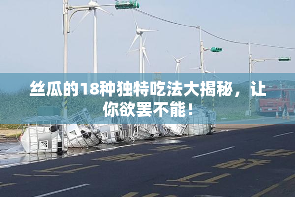 丝瓜的18种独特吃法大揭秘，让你欲罢不能！