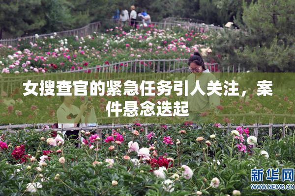 女搜查官的紧急任务引人关注，案件悬念迭起