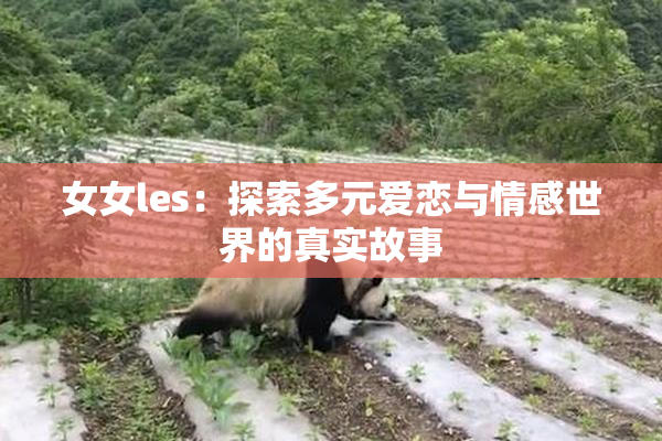 女女les：探索多元爱恋与情感世界的真实故事