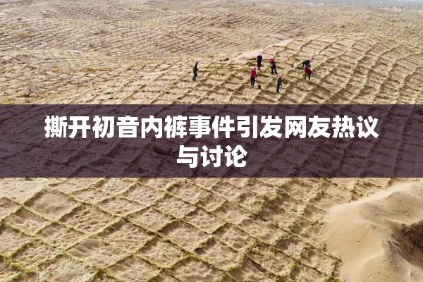 撕开初音内裤事件引发网友热议与讨论
