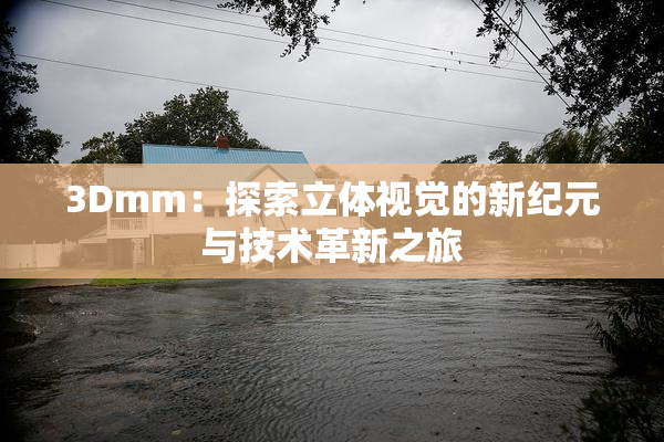 3Dmm：探索立体视觉的新纪元与技术革新之旅