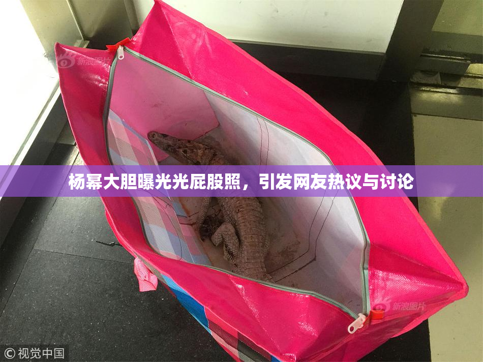 杨幂大胆曝光光屁股照，引发网友热议与讨论