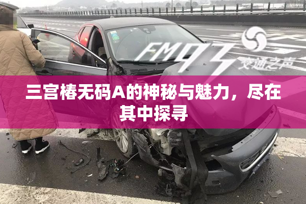 三宫椿无码A的神秘与魅力，尽在其中探寻
